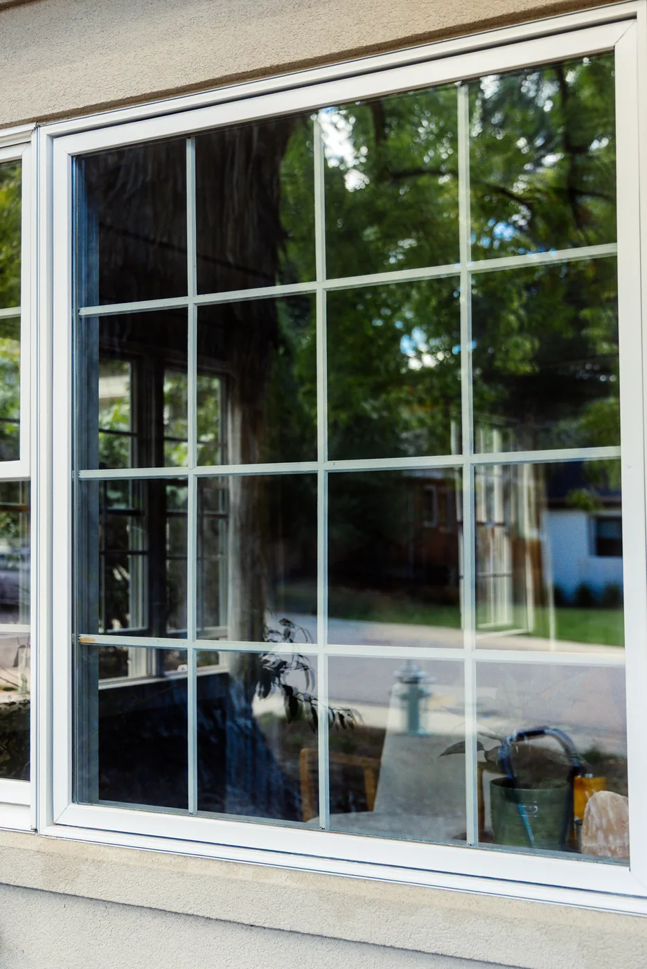 Clean, streak-free multi-pane window reflecting greenery after a Sunshine Window Works cleaning